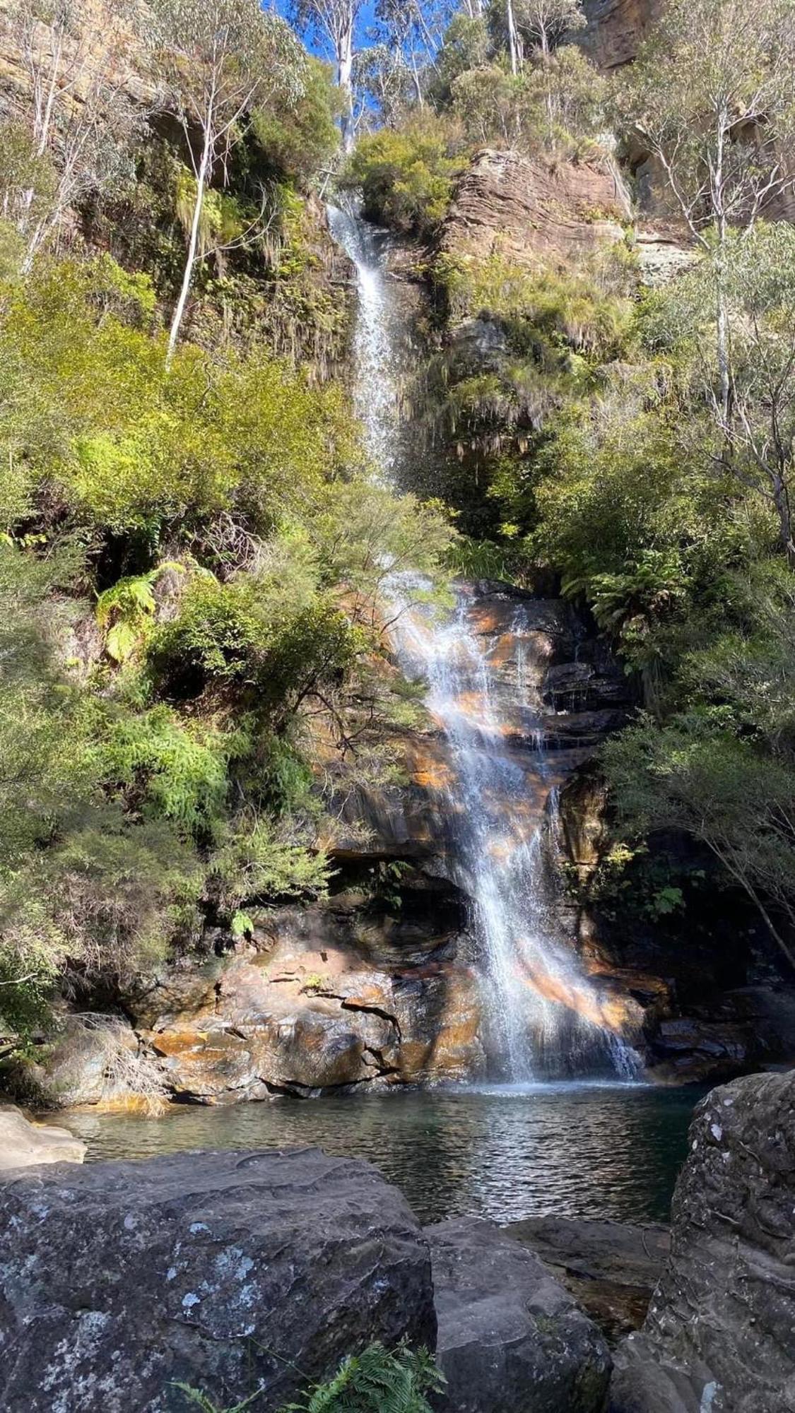 Blissful Mountain Stay Katoomba Εξωτερικό φωτογραφία